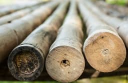 איכות ועמידות