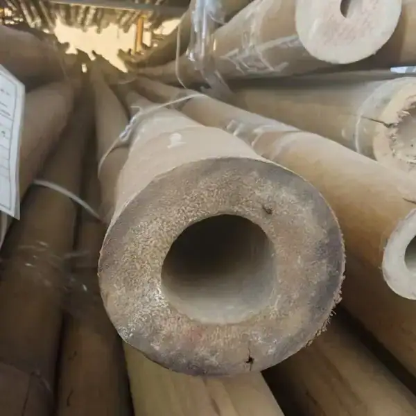 מוט במבוק טולדה